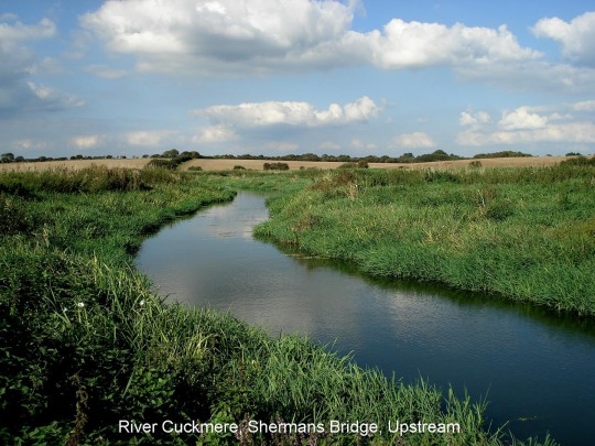 River Cuckmere, Shermans Bridge, Upstream