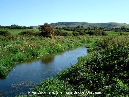 River Cuckmere, Shermans Bridge, Upstream2