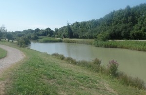 HAILSHAM COUNTRY PARK LAKE 1