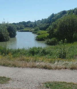 HAILSHAM COUNTRY PARK LAKE 2