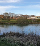 HAILSHAM COUNTRY PARK LAKE 3