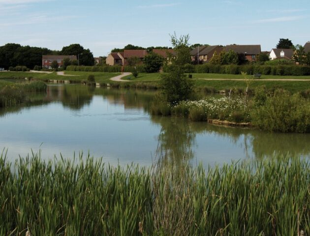 HAILSHAM COUNTRY PARK LAKE 4